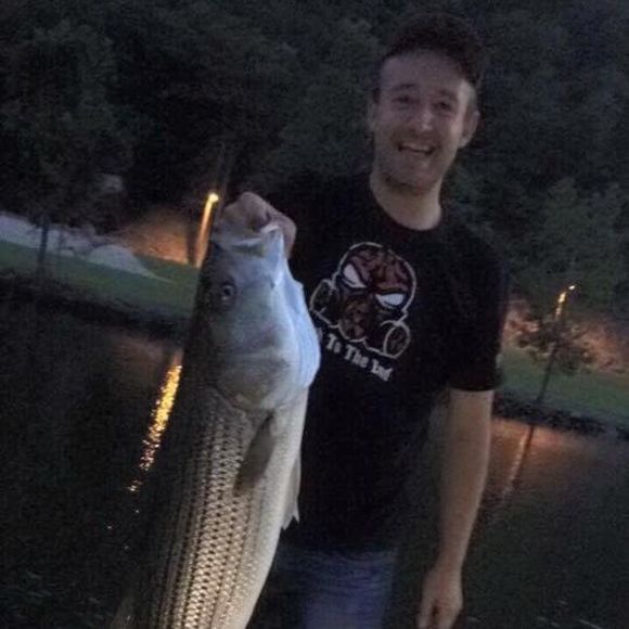 Meet your Posher, Zak - Picture 1 of 1